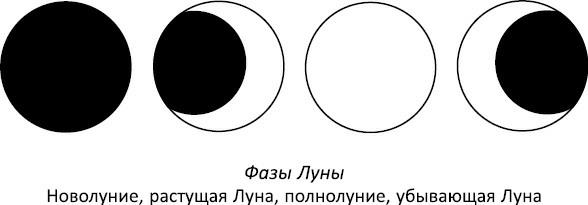 Полная книга ведьмовства. Классический курс Викки