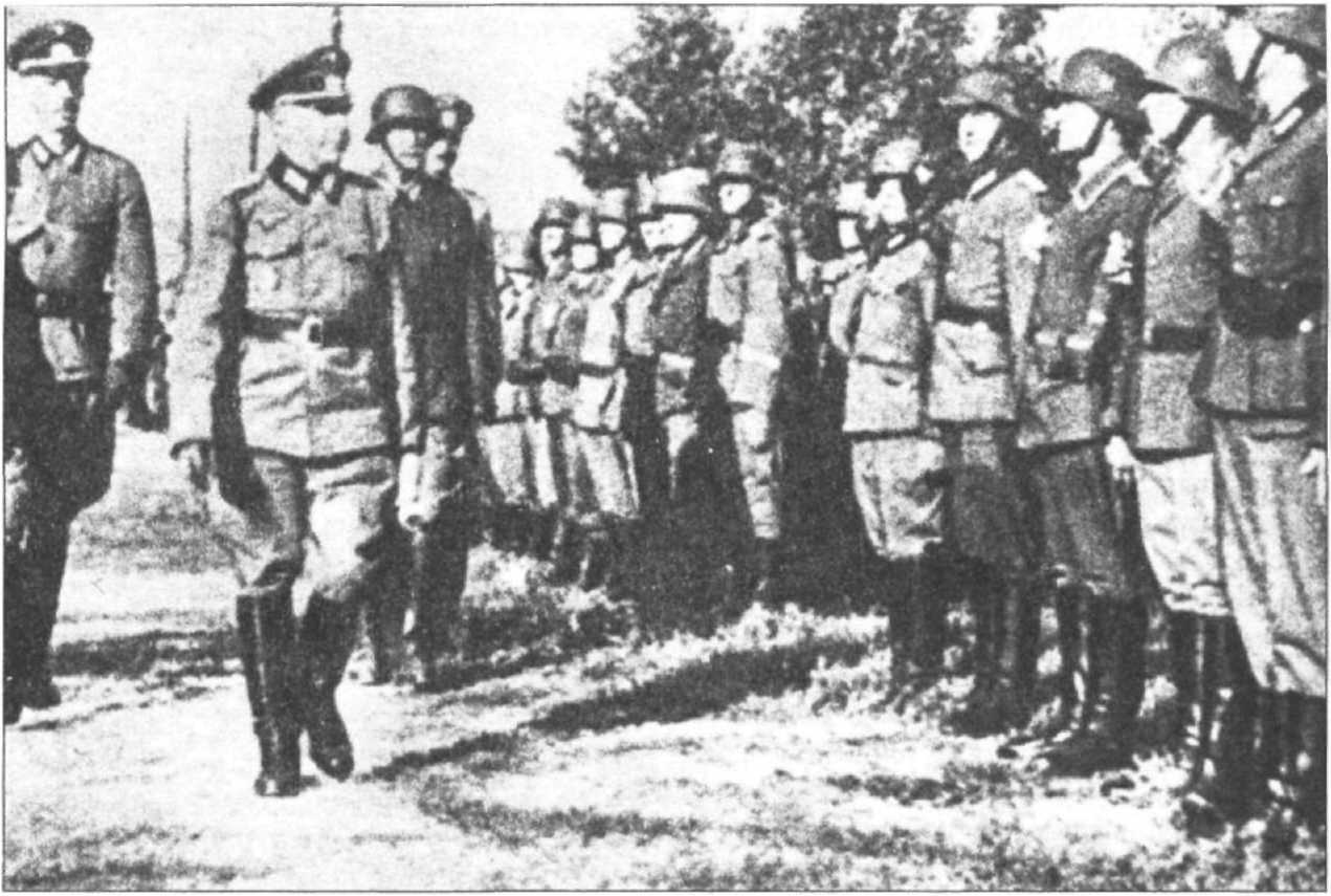 Партизаны и каратели