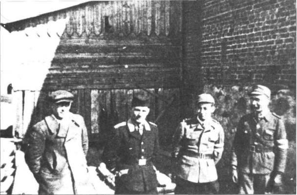 Партизаны и каратели
