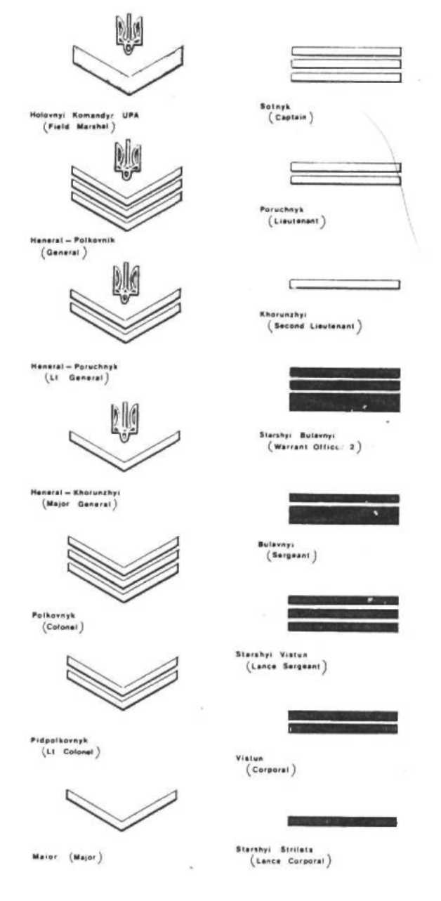 Партизаны и каратели
