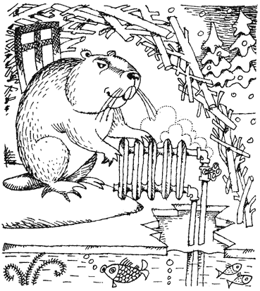 Жизнь лесных дебрей