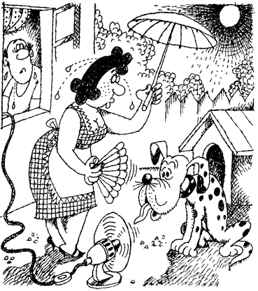 Жизнь лесных дебрей