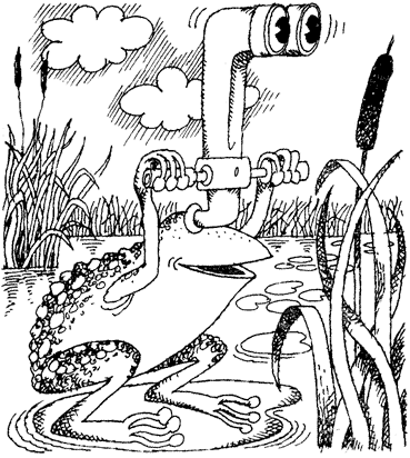 Жизнь лесных дебрей