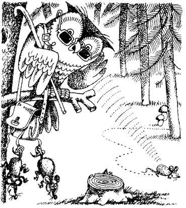 Жизнь лесных дебрей