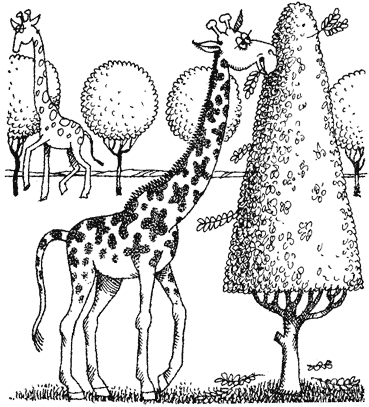 Жизнь лесных дебрей