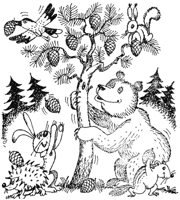 Жизнь лесных дебрей