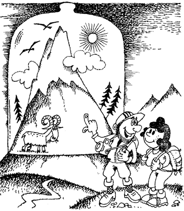 Жизнь лесных дебрей
