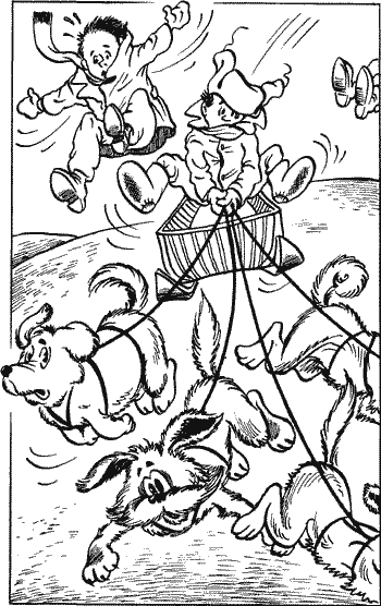Собачья упряжка