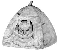 Кошки - сфинксы