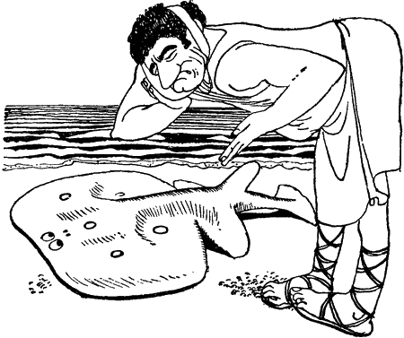 Занимательная физиология