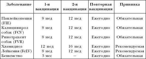 Русский охотничий спаниель