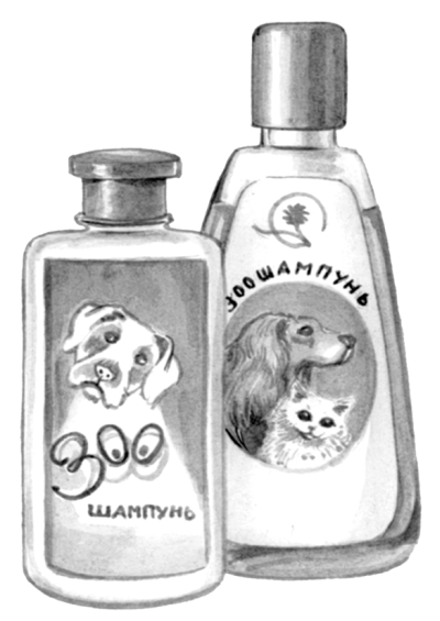 Пекинес. День за днем.