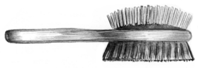 Пекинес. День за днем.