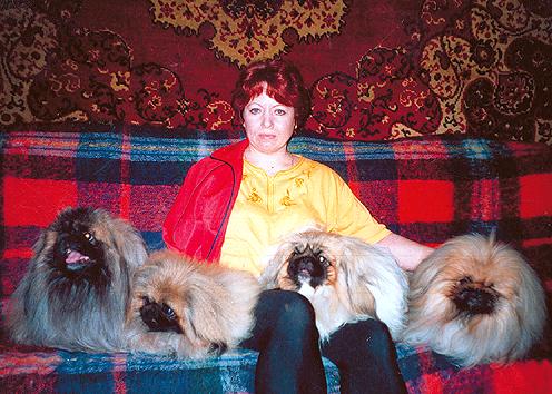 Пекинес. День за днем.