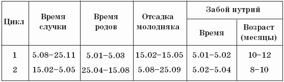 Нутрии