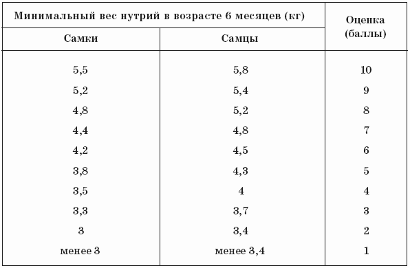 Нутрии