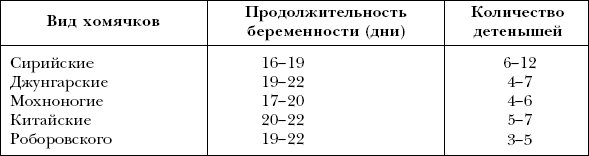 Хомячки