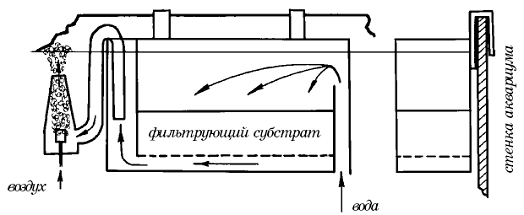 Современный аквариум - техника и принадлежности