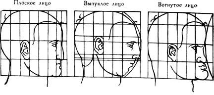 Дневники. Письма. Трактаты. Том 2