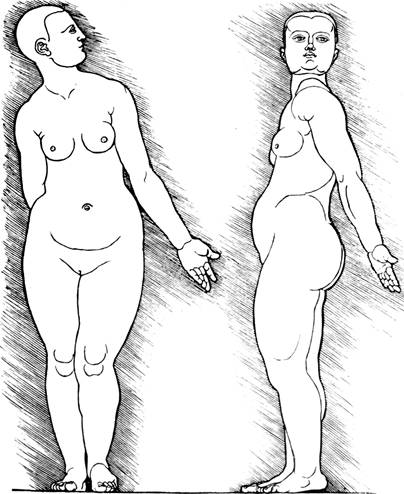 Дневники. Письма. Трактаты. Том 2