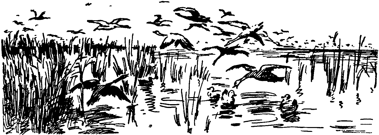 След за кормой (2-е издание)