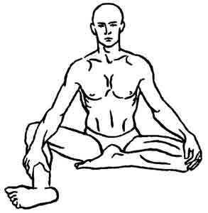 Йога-терапия. Новый взгляд на традиционную йога-терапию